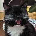 Profile picture johnnyalpha81.bsky.social