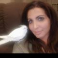 Profile picture birdrian.bsky.social
