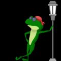 Profile picture frogpondproduction.bsky.social