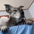 Profile picture uweuweuwe.bsky.social