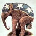 Profile picture steve513.bsky.social