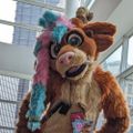 Profile picture quaggycharr.bsky.social