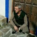 Profile picture liche64.bsky.social