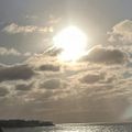 Profile picture married2truth.bsky.social