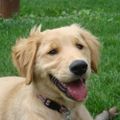 Profile picture sassysweet.bsky.social
