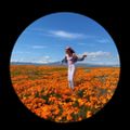 Profile picture franterest26.bsky.social
