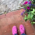 Profile picture rags-and-roses.bsky.social