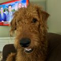 Profile picture booshmeister.bsky.social