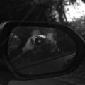 Profile picture lampled.bsky.social
