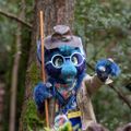 Profile picture caoldragom.bsky.social