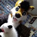 Profile picture josehusko.bsky.social