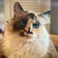 Profile picture tricialockwood.bsky.social
