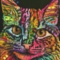 Profile picture mspatch.bsky.social