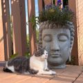 Profile picture quispamsissy.bsky.social