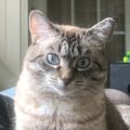 Profile picture timefadesaway.bsky.social