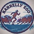 Profile picture barrellyego.bsky.social
