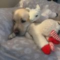 Profile picture 4326hobey.bsky.social