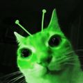 Profile picture rowieboat.bsky.social