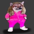Profile picture vanbadham.bsky.social