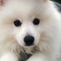 Profile picture envogue28.bsky.social