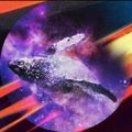 Profile picture kiyasfor7.bsky.social