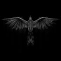 Profile picture lildude340.bsky.social