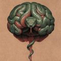 Profile picture raz-mattaz.bsky.social