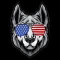 Profile picture wolfewireless.bsky.social