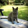Profile picture catou142.bsky.social