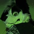Profile picture buddycollie.bsky.social