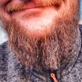 Profile picture nuckelpinne.bsky.social