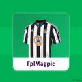Profile picture finnishfplmagpie.bsky.social