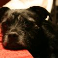 Profile picture alan6672.bsky.social