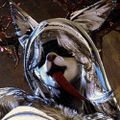 Profile picture vananari.gposers.pics