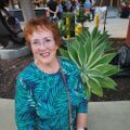 Profile picture sherilynn1.bsky.social