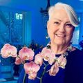 Profile picture mirandagl32.bsky.social
