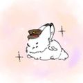Profile picture bn-uuy.bsky.social