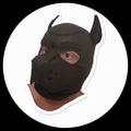 Profile picture jakeluckstruckx.bsky.social