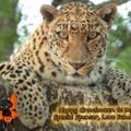 Profile picture catslib.bsky.social