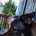 Profile picture jemlynn.bsky.social
