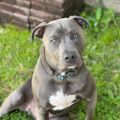 Profile picture gritandgrace82.bsky.social