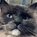 Profile picture janl05.bsky.social
