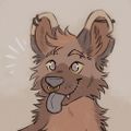 Profile picture dakotawilddog.bsky.social