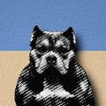 Profile picture thebullypulpit.bsky.social