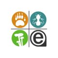 Profile picture ecorecord.bsky.social