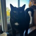 Profile picture opheliafan.bsky.social