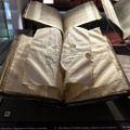 Profile picture manuscriptsetc.bsky.social