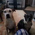 Profile picture mikelochness.bsky.social