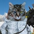 Profile picture javelinpussy.bsky.social