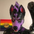 Profile picture wafflesl-ut.bsky.social